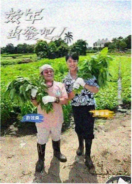 声音修理铺综艺封面